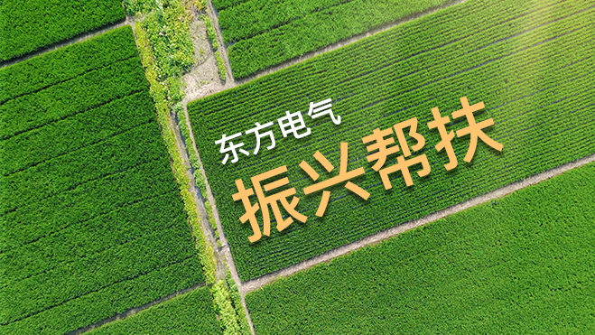 U乐国际(中国区)集团
